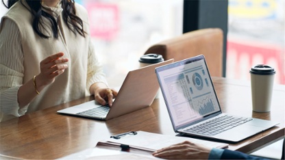 Software Consultancy